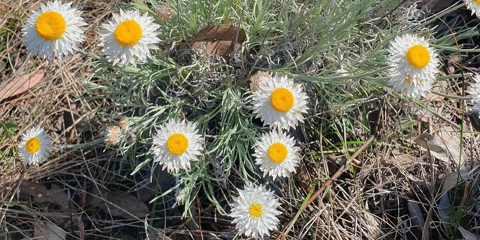 Banner image for Private Land Conservation Matters Biodiversity Muster