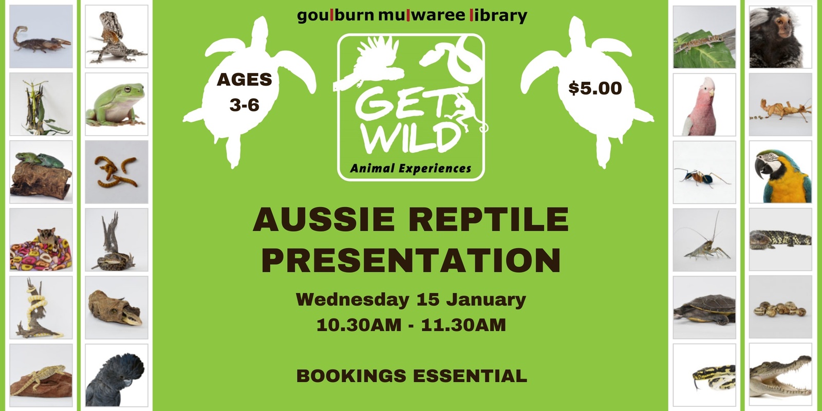 Banner image for Get Wild Animal Experiences - Reptiles