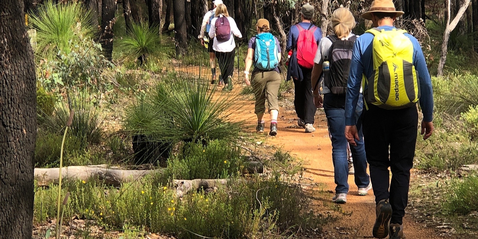 Banner image for Perth Hills: A reflective Spring walk 