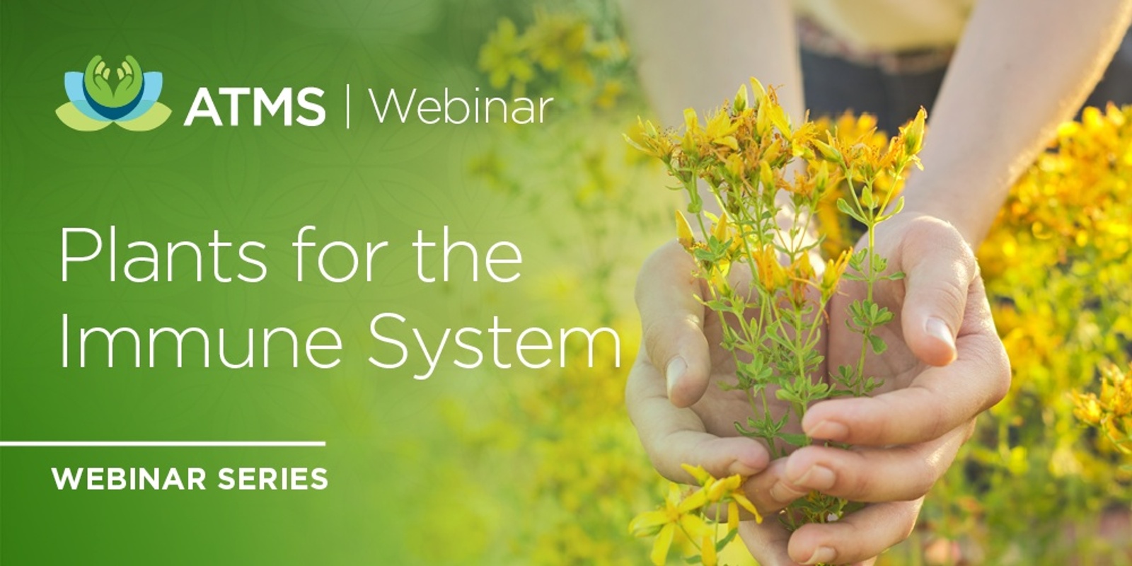 Banner image for Webinar Series Package: Plants for the Immune System