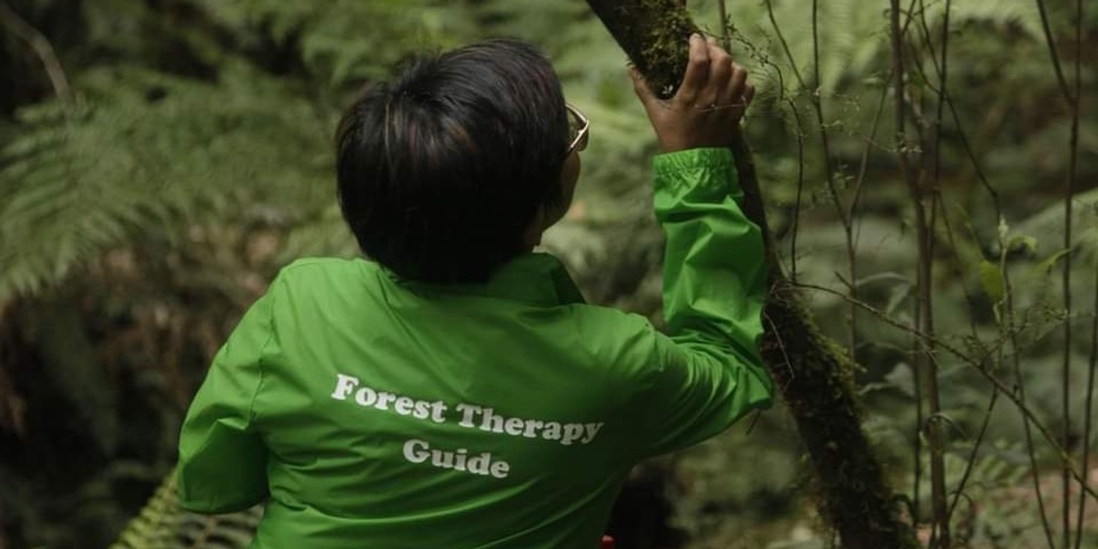 Banner image for Learn about Forest Therapy and Meet the Guides - FREE