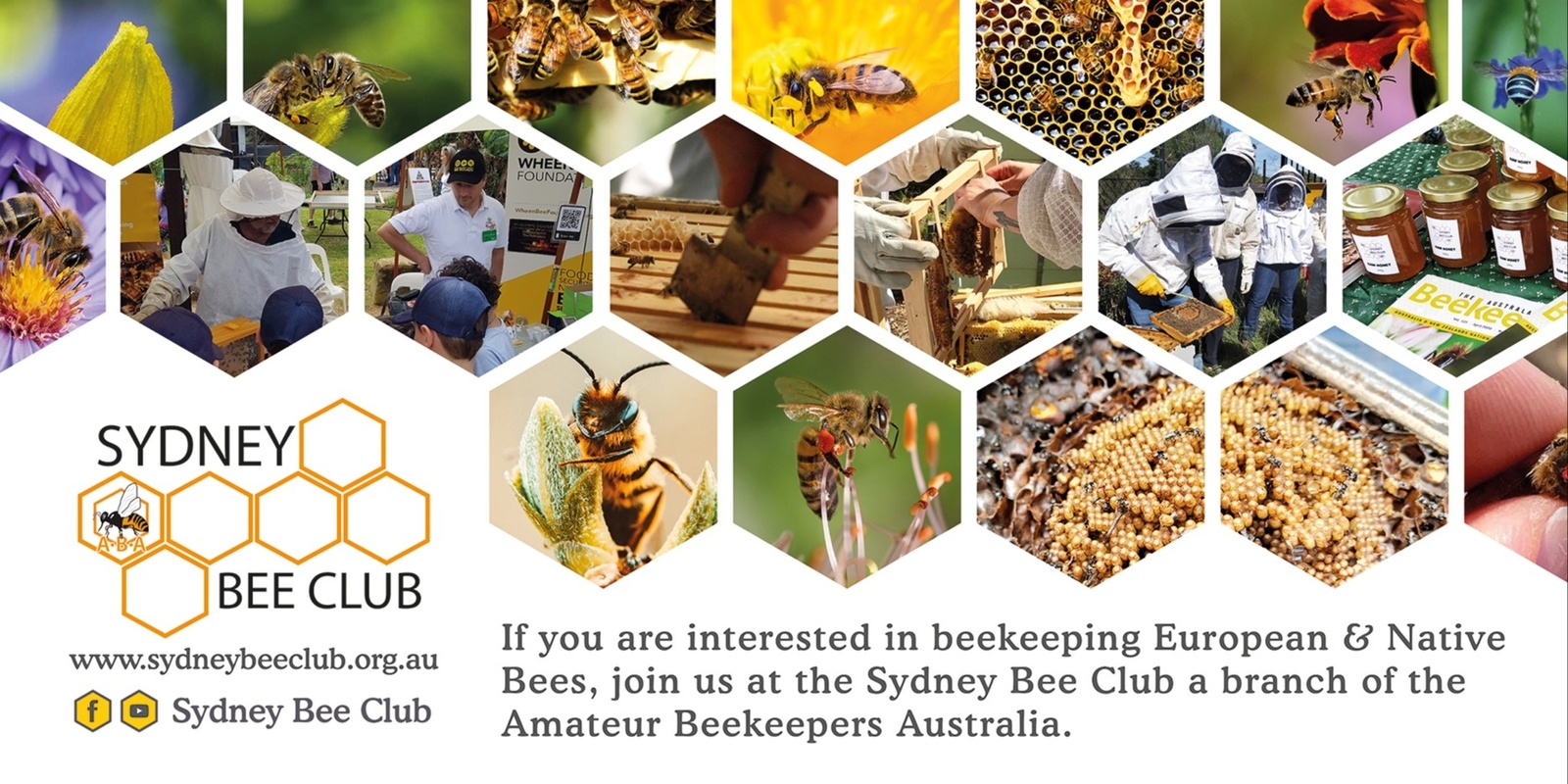 Sydney Bee Club Inc.'s banner