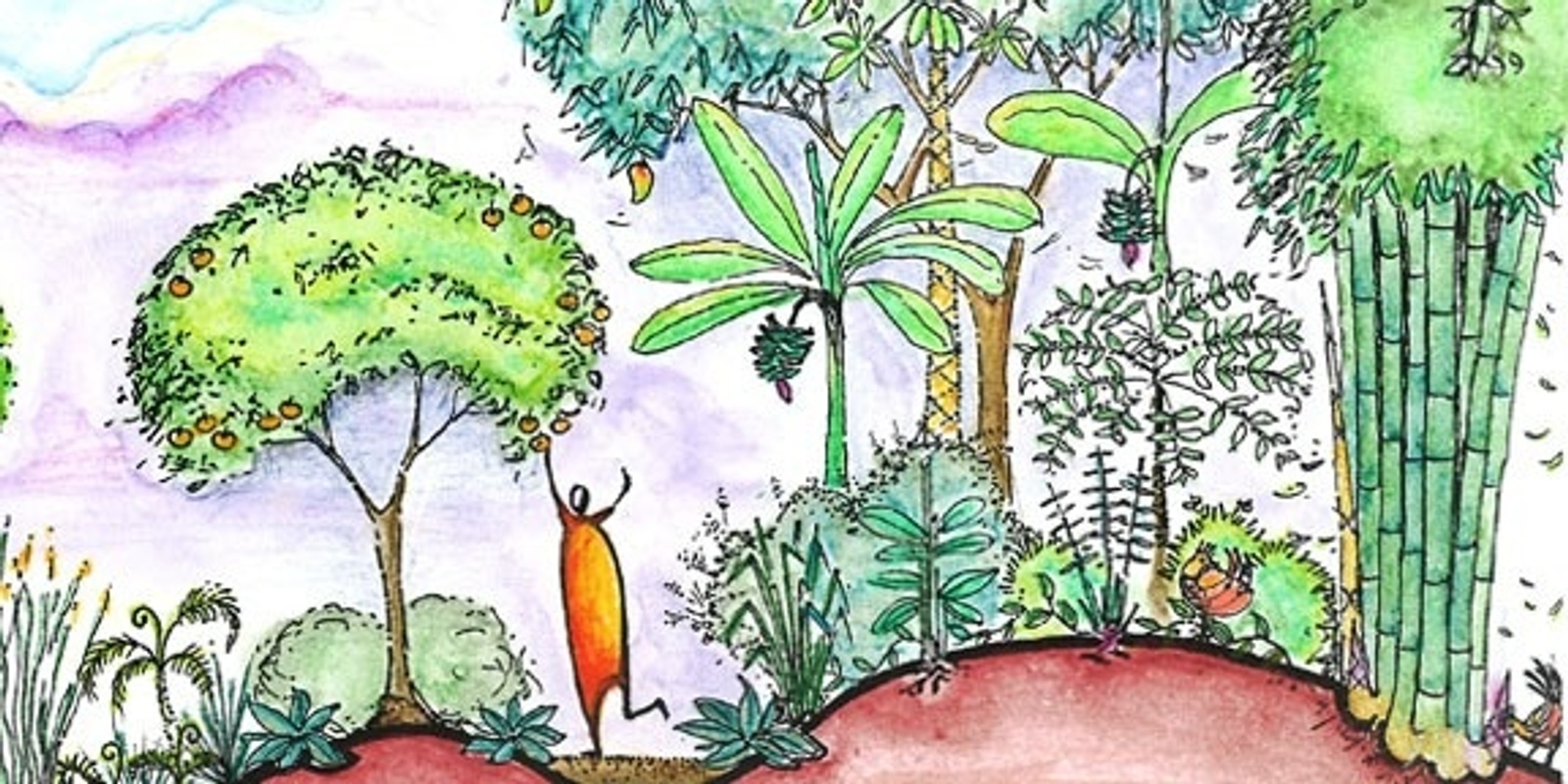 Banner image for Illawarra Permaculture Design Course