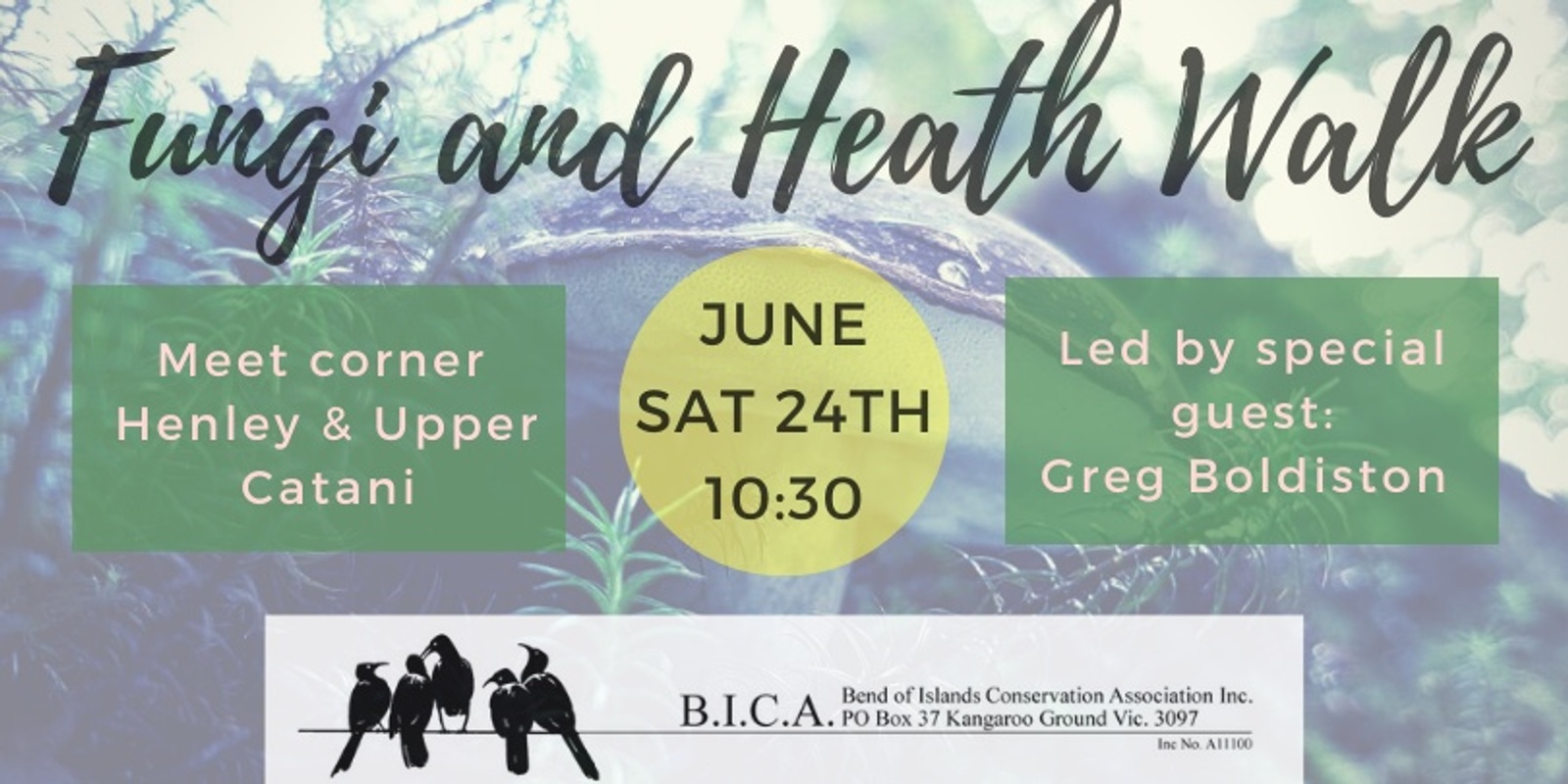 Banner image for Fungi & Heath Walk - Bend of Islands Conservation Association