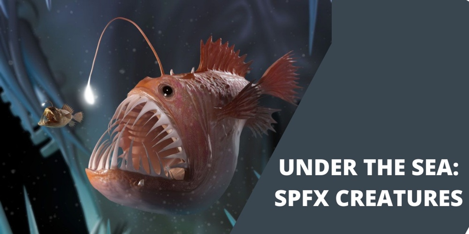 Banner image for Under The Sea SPFX - SAMFORD