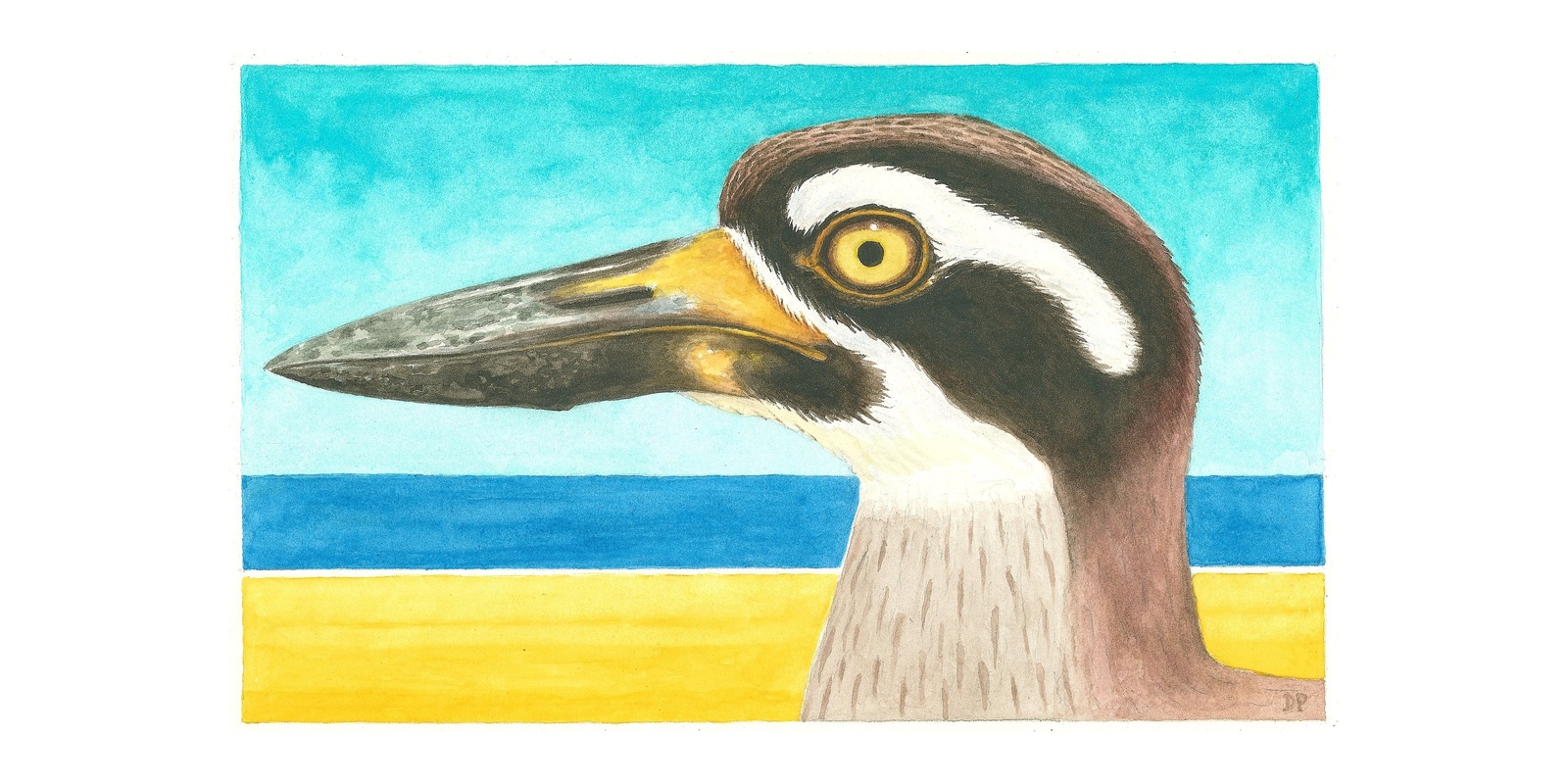 Banner image for DGSF2023 - Shorebird Art Exhibition