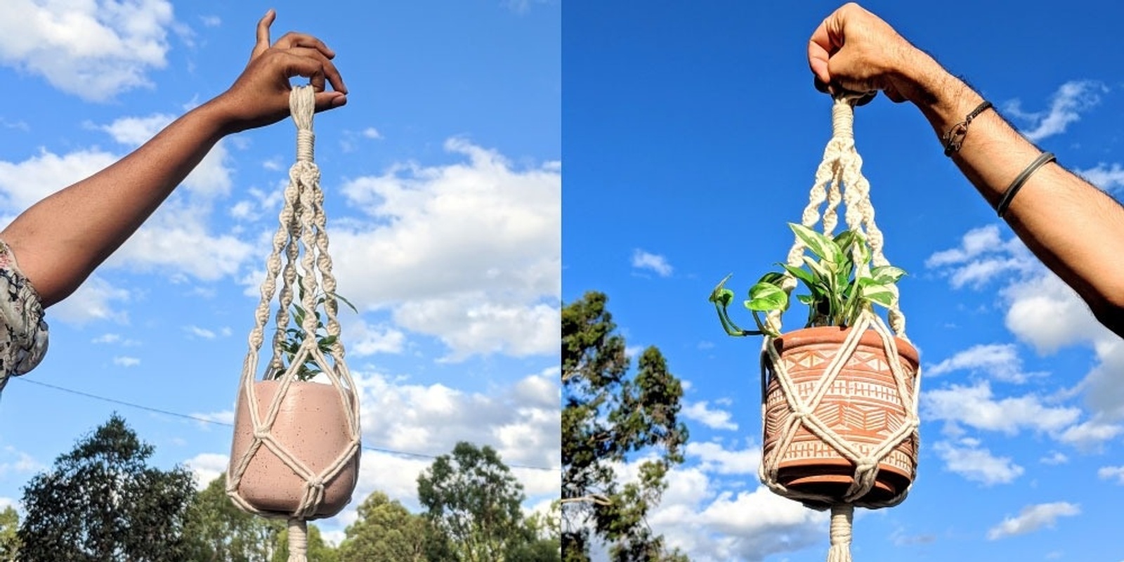 Banner image for Stunning Macrame Plant Hangers with Sneha (Online)