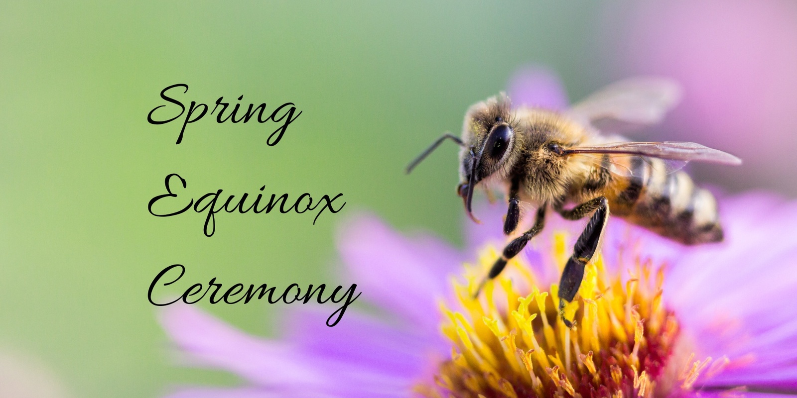 Banner image for Spring Equinox Ceremony