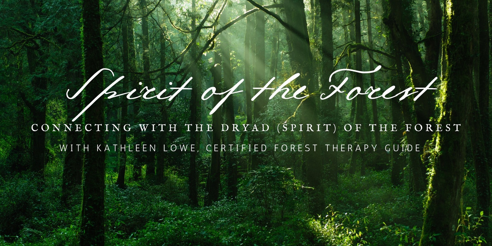 Banner image for Connecting With the Spirit of the Forest