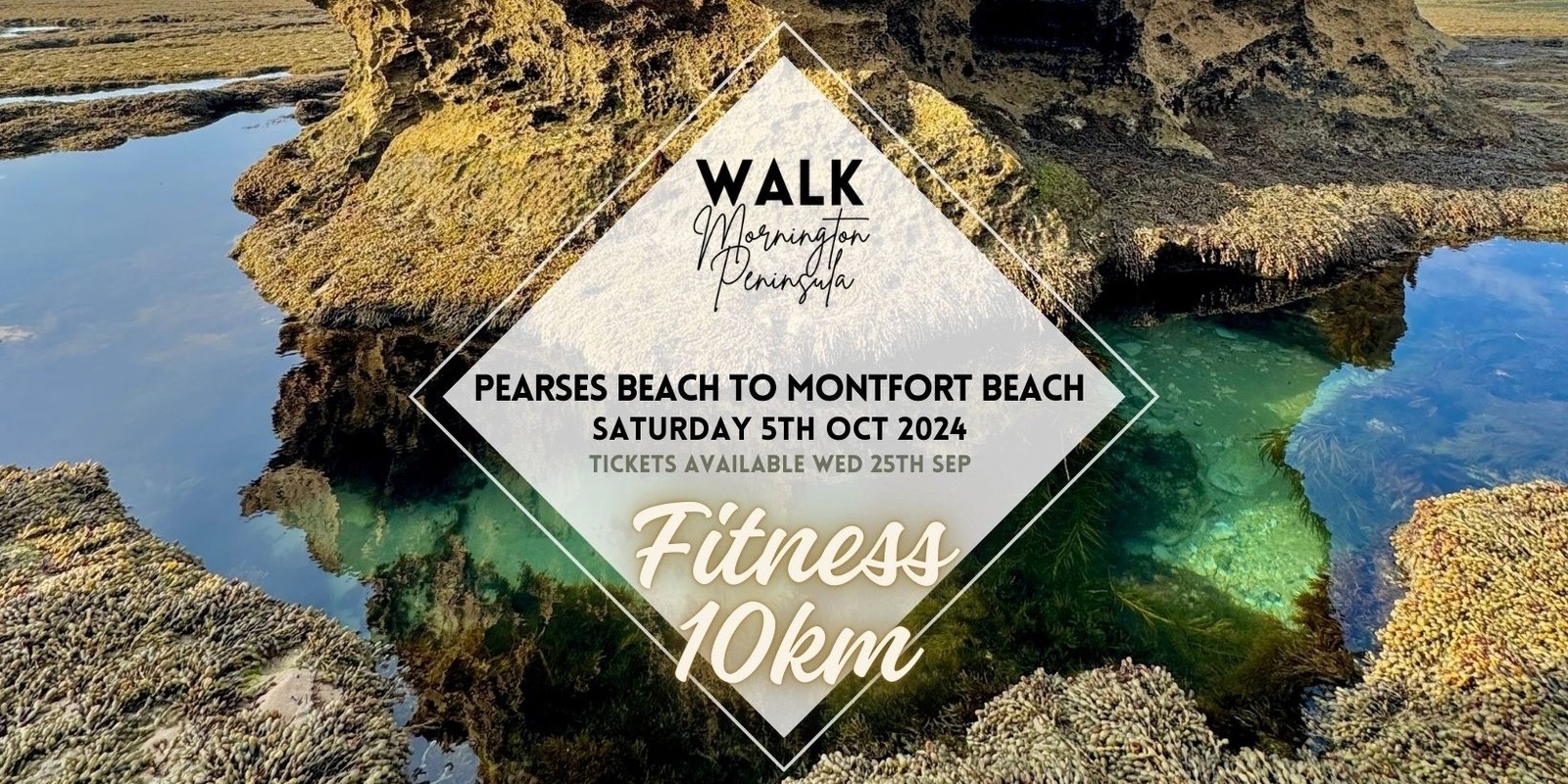 Banner image for Pearses Beach to Montfort Beach