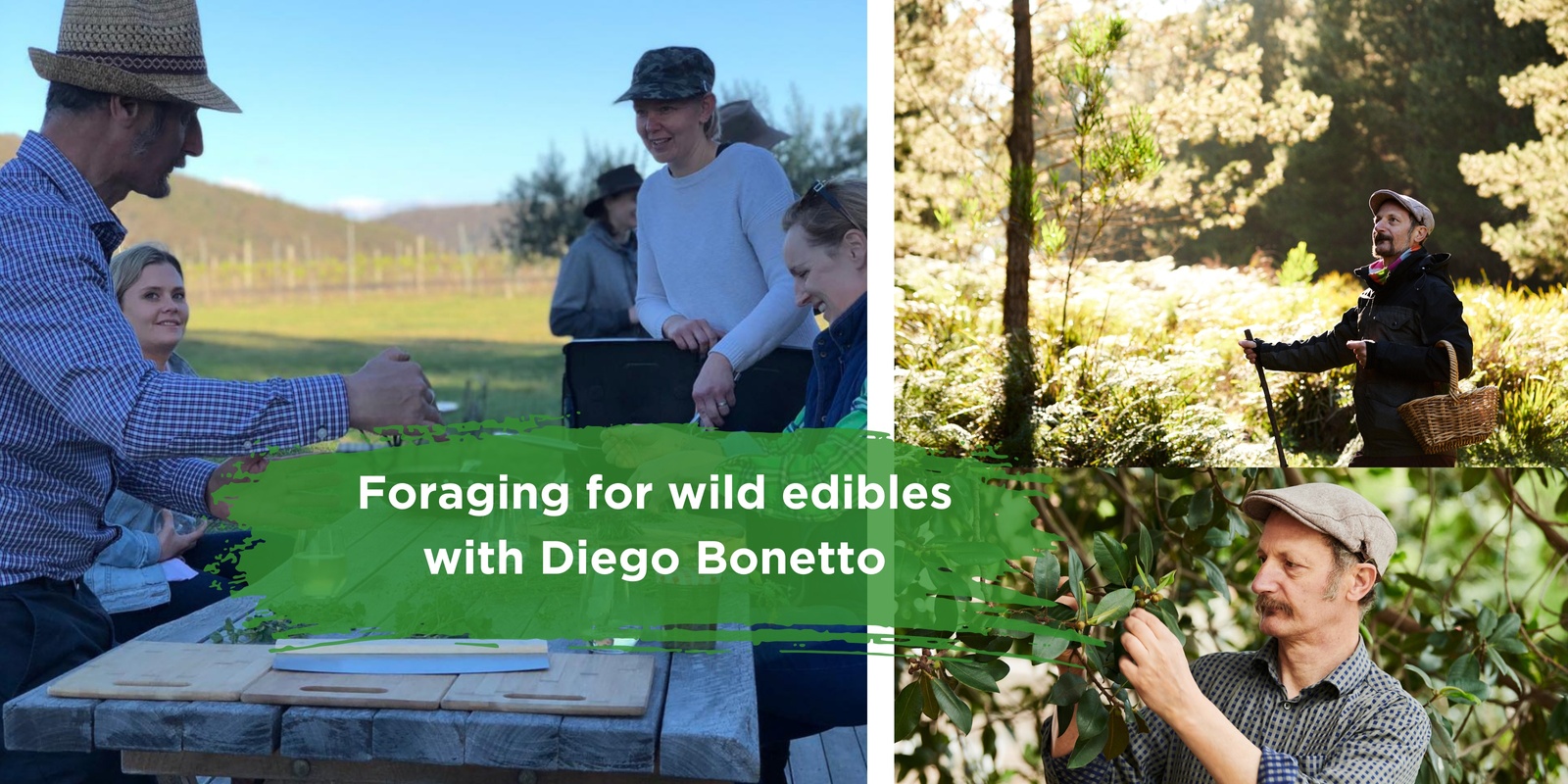 Banner image for Foraging for wild edibles. Presented by Diego Bonetto.
