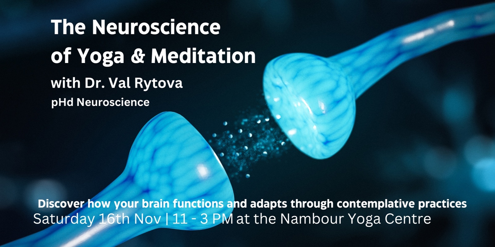 Banner image for Neuroscience of Yoga & Meditation 