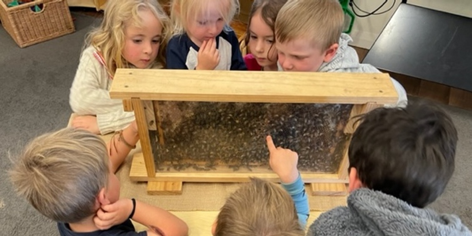 Banner image for Buzzing Bee School for Kids