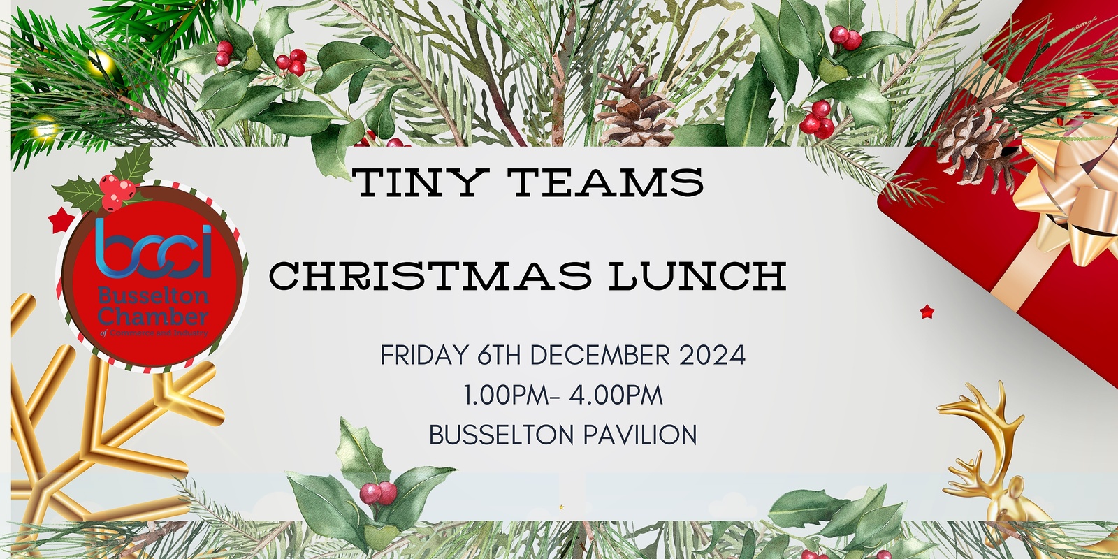 Banner image for TINY TEAMS CHRISTMAS LUNCH