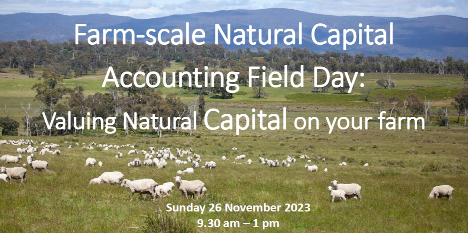 Banner image for Farm-Scale Natural Capital Accounting Field Day