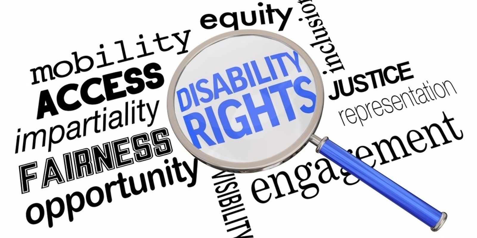 Banner image for Disability and the Law series: Guardianship and Administration Orders