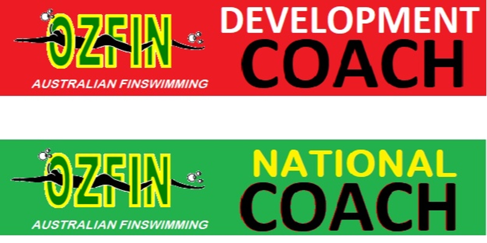 Banner image for Finswimming Coaching and Athlete Biomechanics Course