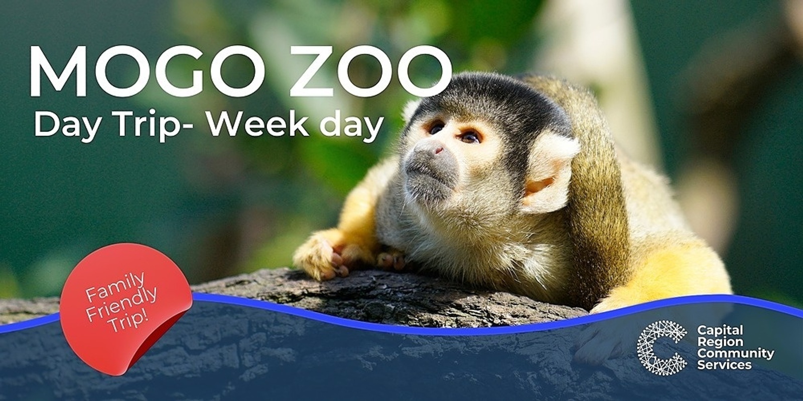 Banner image for Mogo Zoo Day Trip
