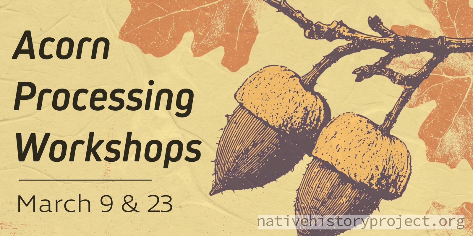 Banner image for Acorn Processing Workshops