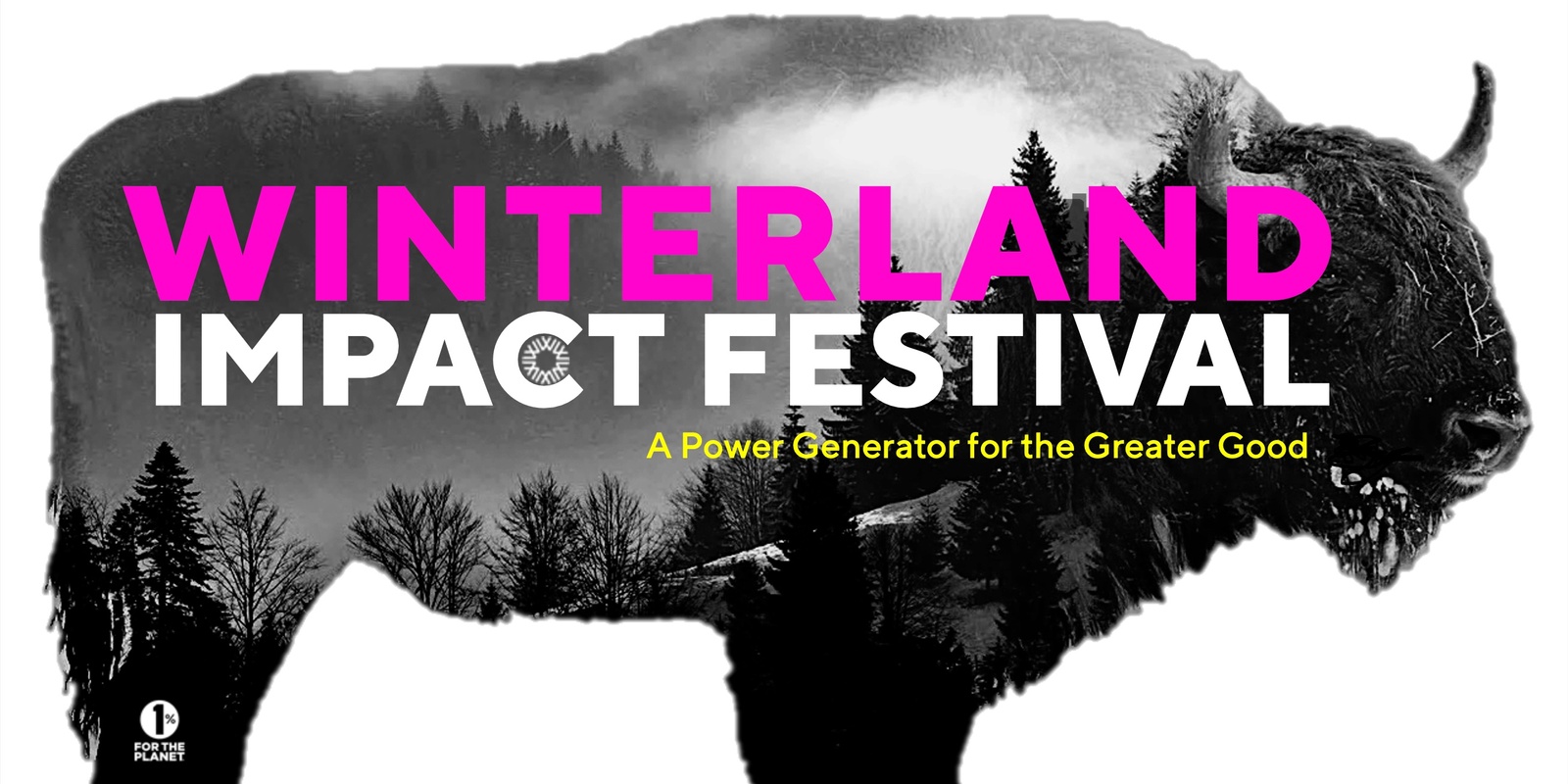 Banner image for Winterland Impact Festival