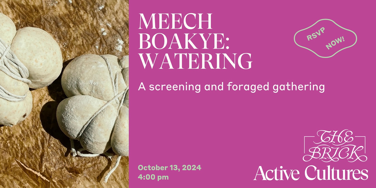 Banner image for Meech Boakye: watering