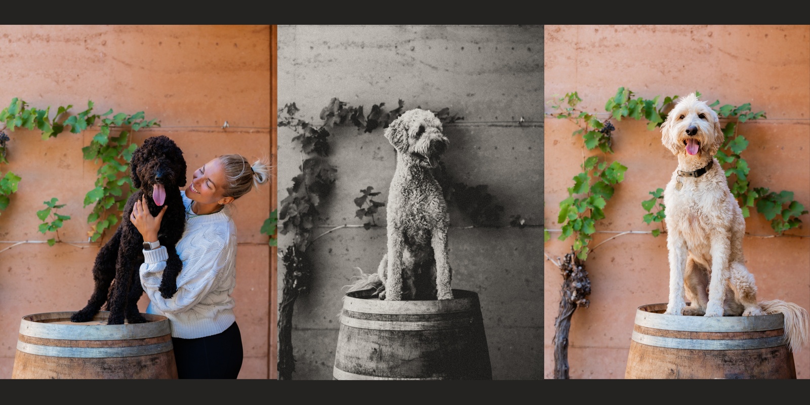 Banner image for Portraits & Paws - Zebbie Chardonnay Release