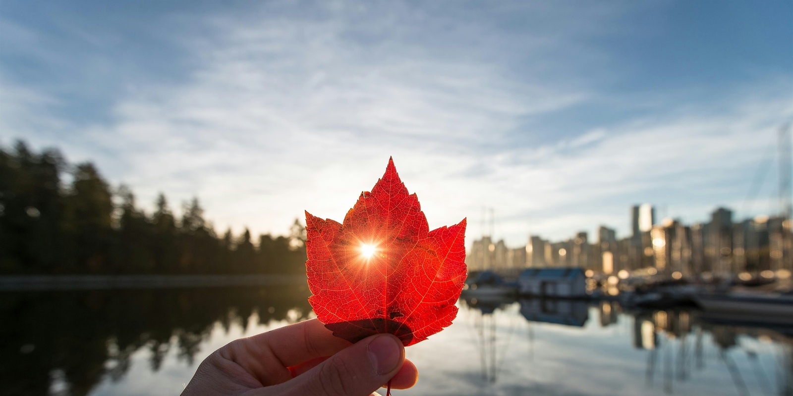 Banner image for Careers in Canada @ RMIT University