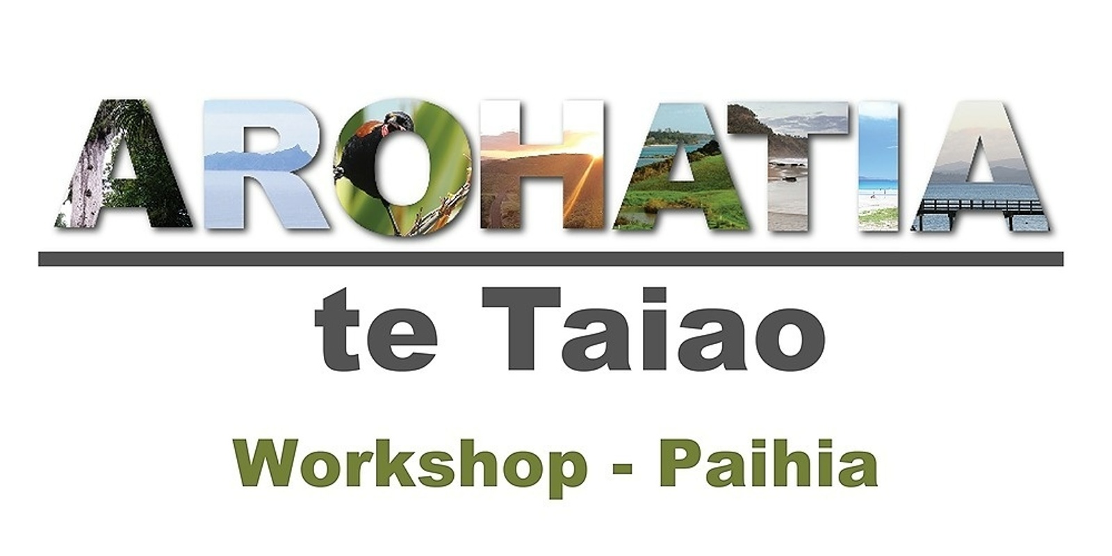 Banner image for Arohatia Te Taiao Workshop - Paihia,  Northland