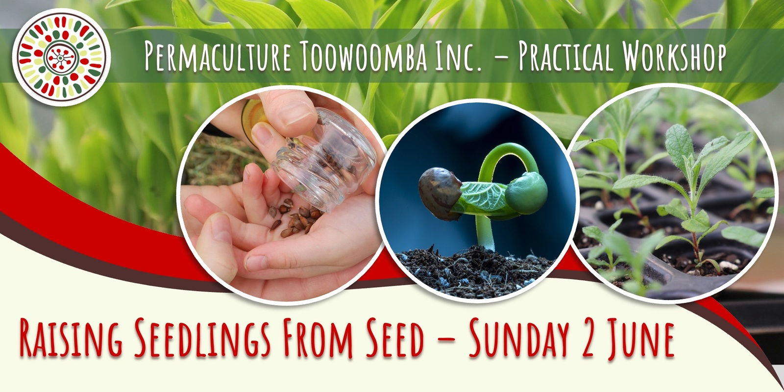 Banner image for Raising Seedlings from Seed - Practical Workshop