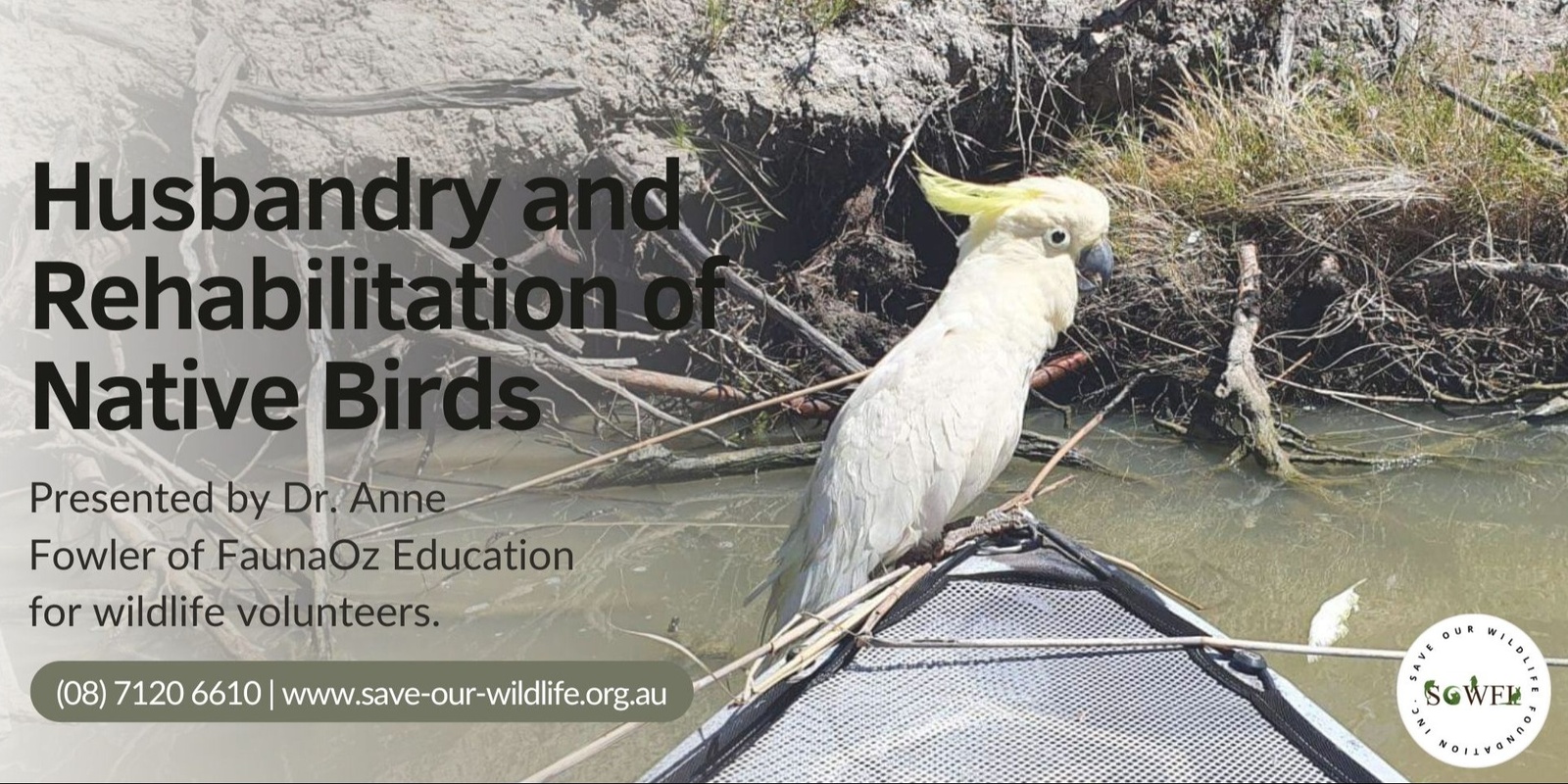 Banner image for Husbandry and Diseases of Native Birds presented by Dr. Anne Fowler