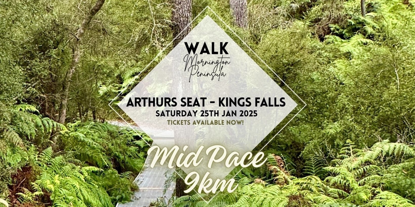 Banner image for Kings Falls, Arthurs Seat - Mid Pace Hiker 9km's 