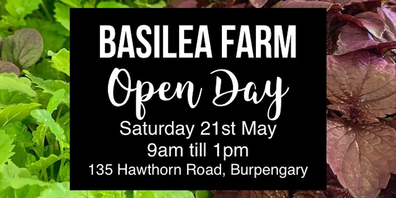 Banner image for Basilea Farm Open Day - May