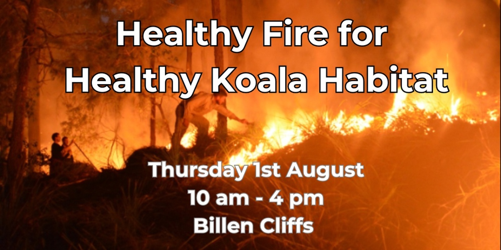 Banner image for Healthy Fire for Healthy Koala Habitat Field Day