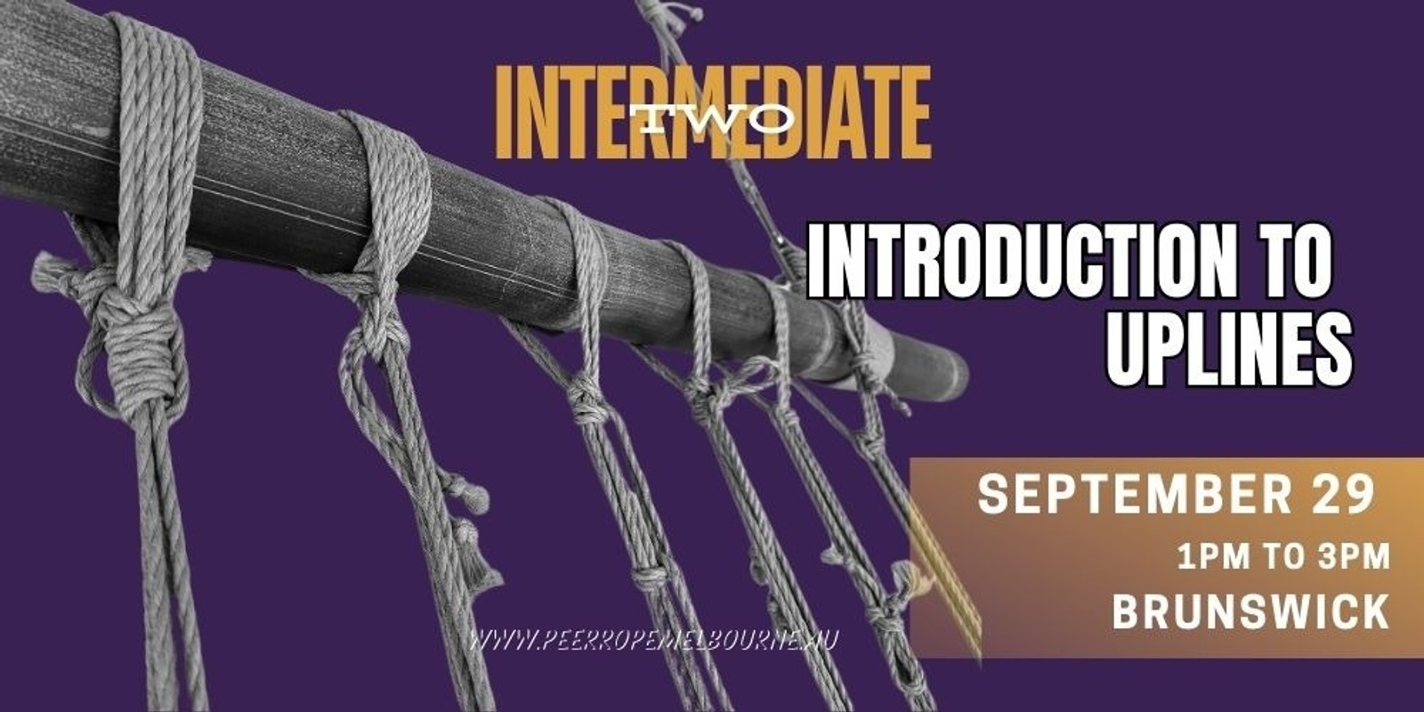 Banner image for Intermediate 2 Classes - Peer Rope Melbourne