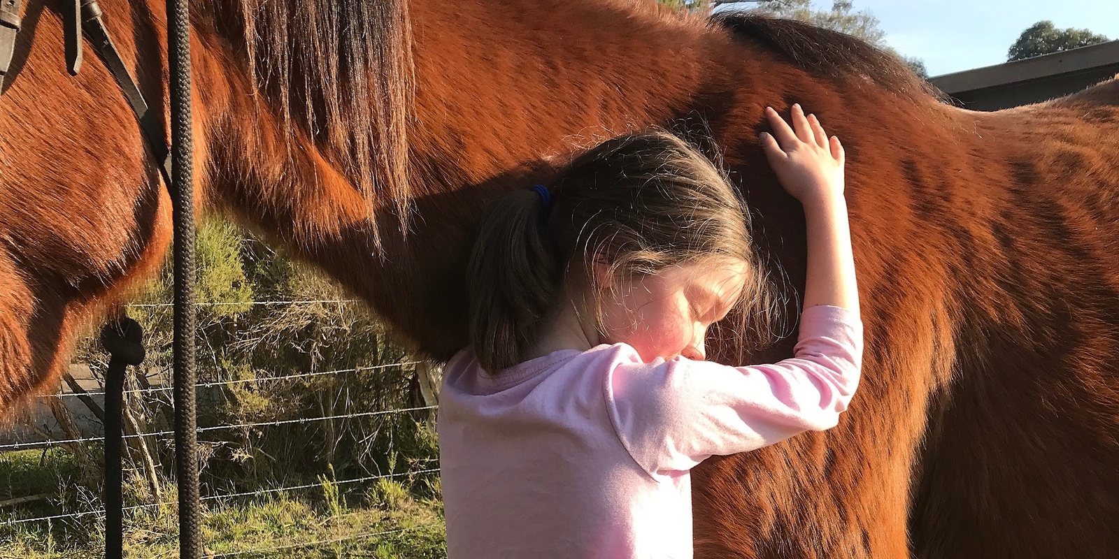 Banner image for School Holiday Natural Horsemanship Clinics 