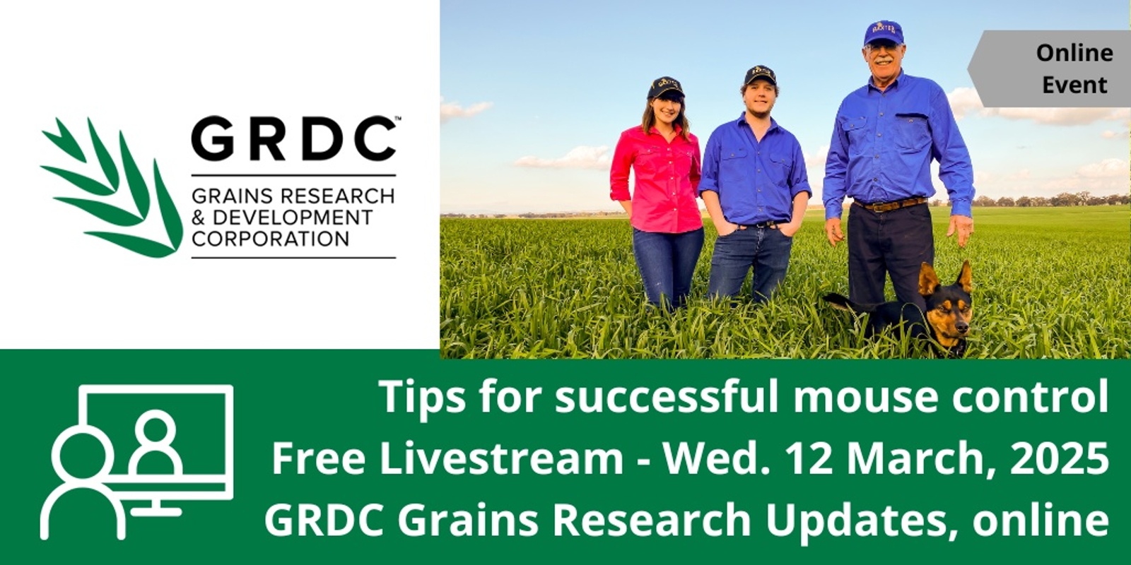 Banner image for GRDC Grains Research Update, Online - Strategic use of zinc phosphide for successful mouse control 