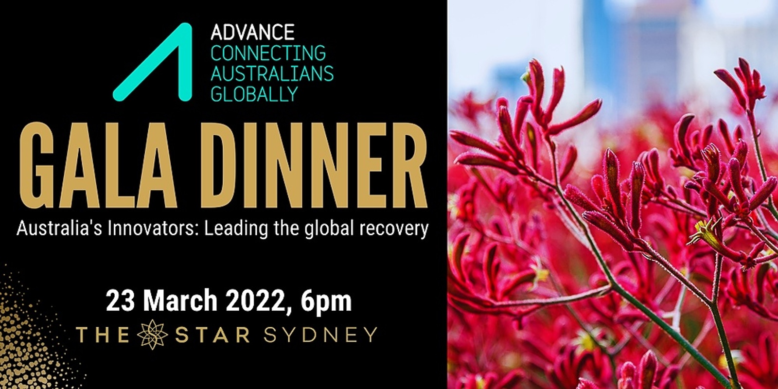 Banner image for Advance Gala Dinner 2022