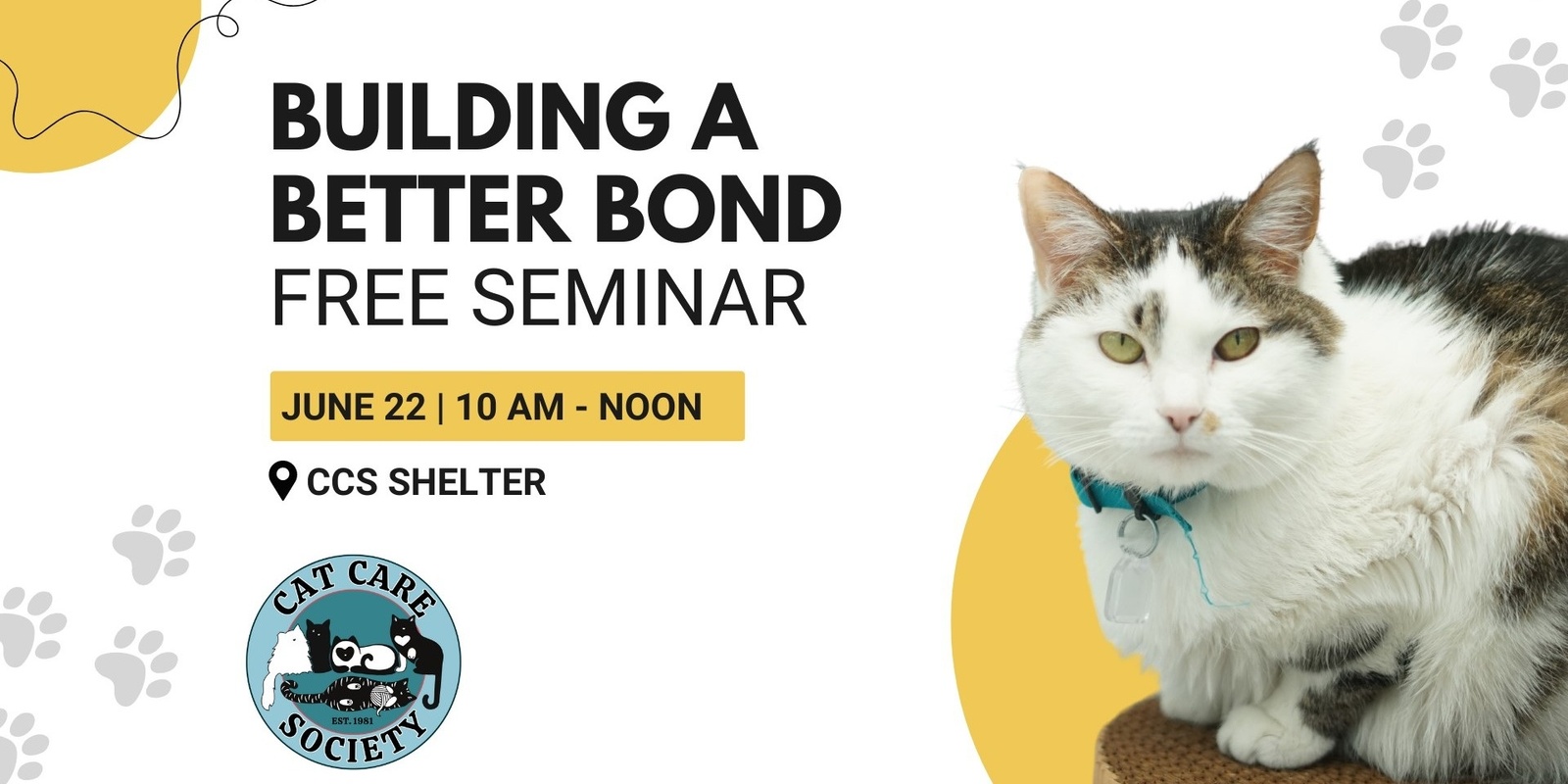 Banner image for Seminar: Building a Better Bond with Your Kitty