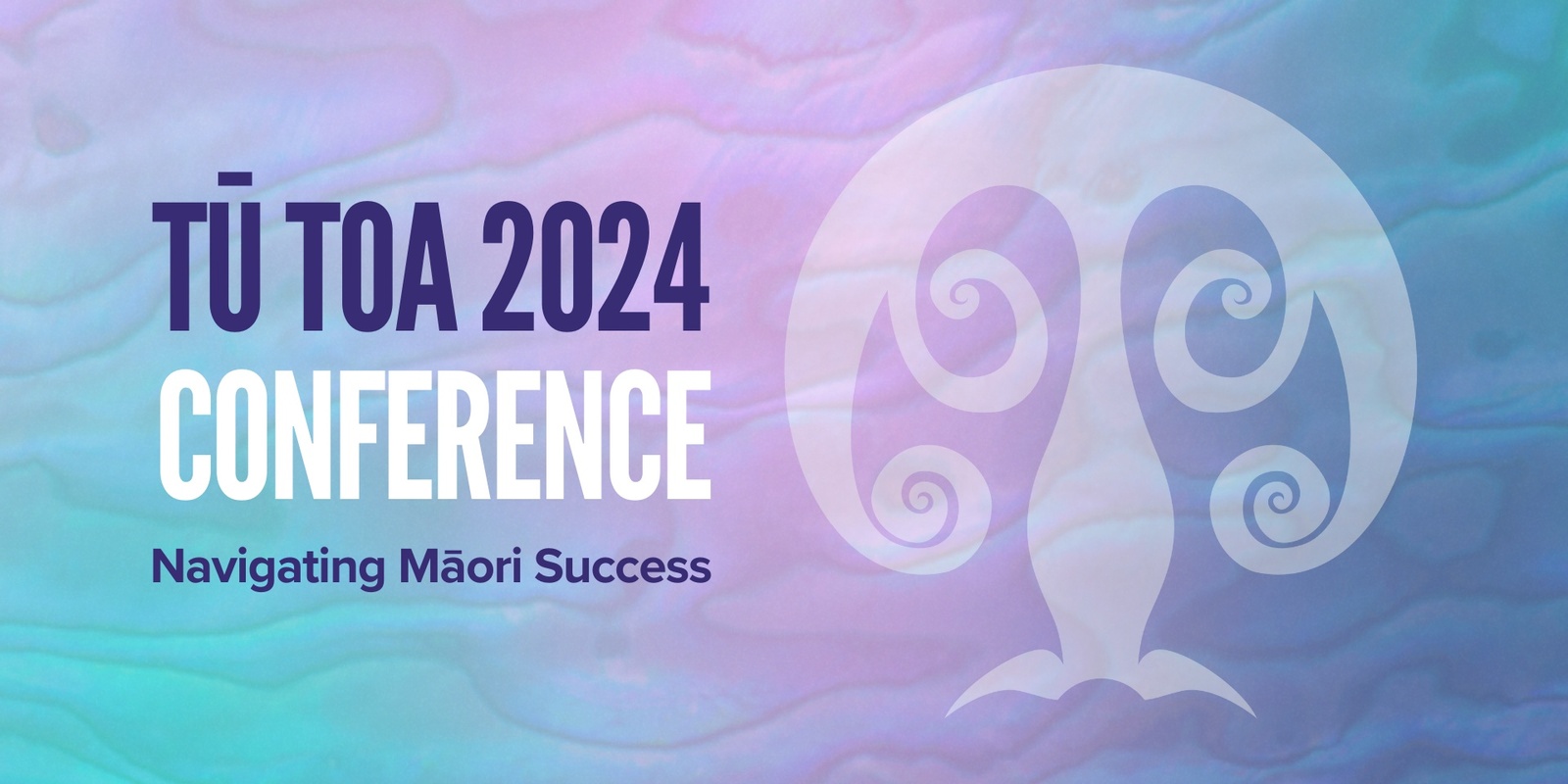 Banner image for Tū Toa Conference 2024