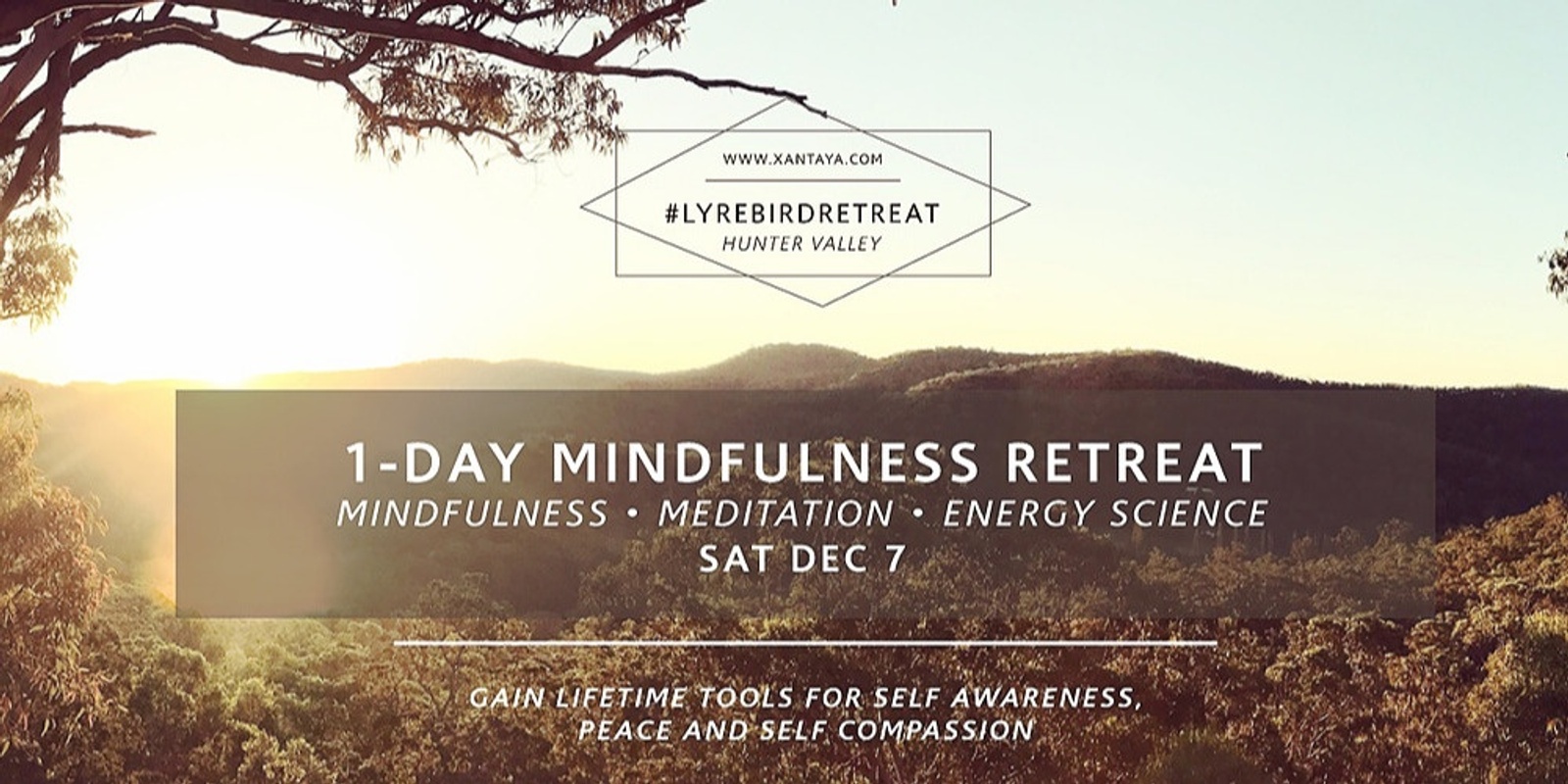 Banner image for Mindfulness Day Immersion – Maitland - CANCELLED