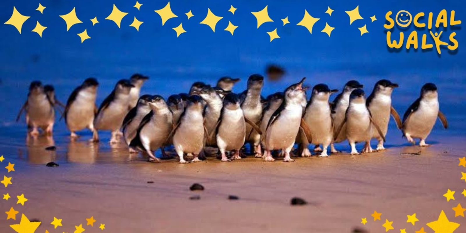 Banner image for Melbourne Social Walks - Phillip Island Cape Woolamai Hike + Penguin Parade Day Trip! (Transport + Penguin Parade Entry included) - w/Adam