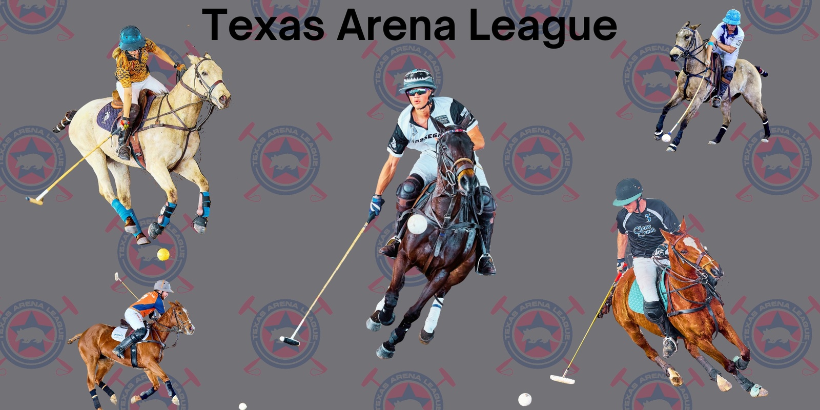 Texas Arena League's banner