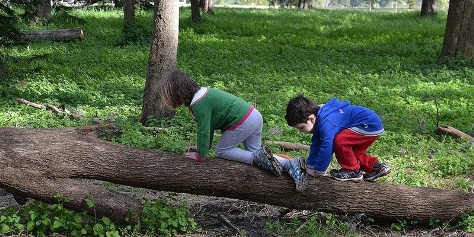 Banner image for Introduction to Outdoor Learning, Bush School and Nature Play 