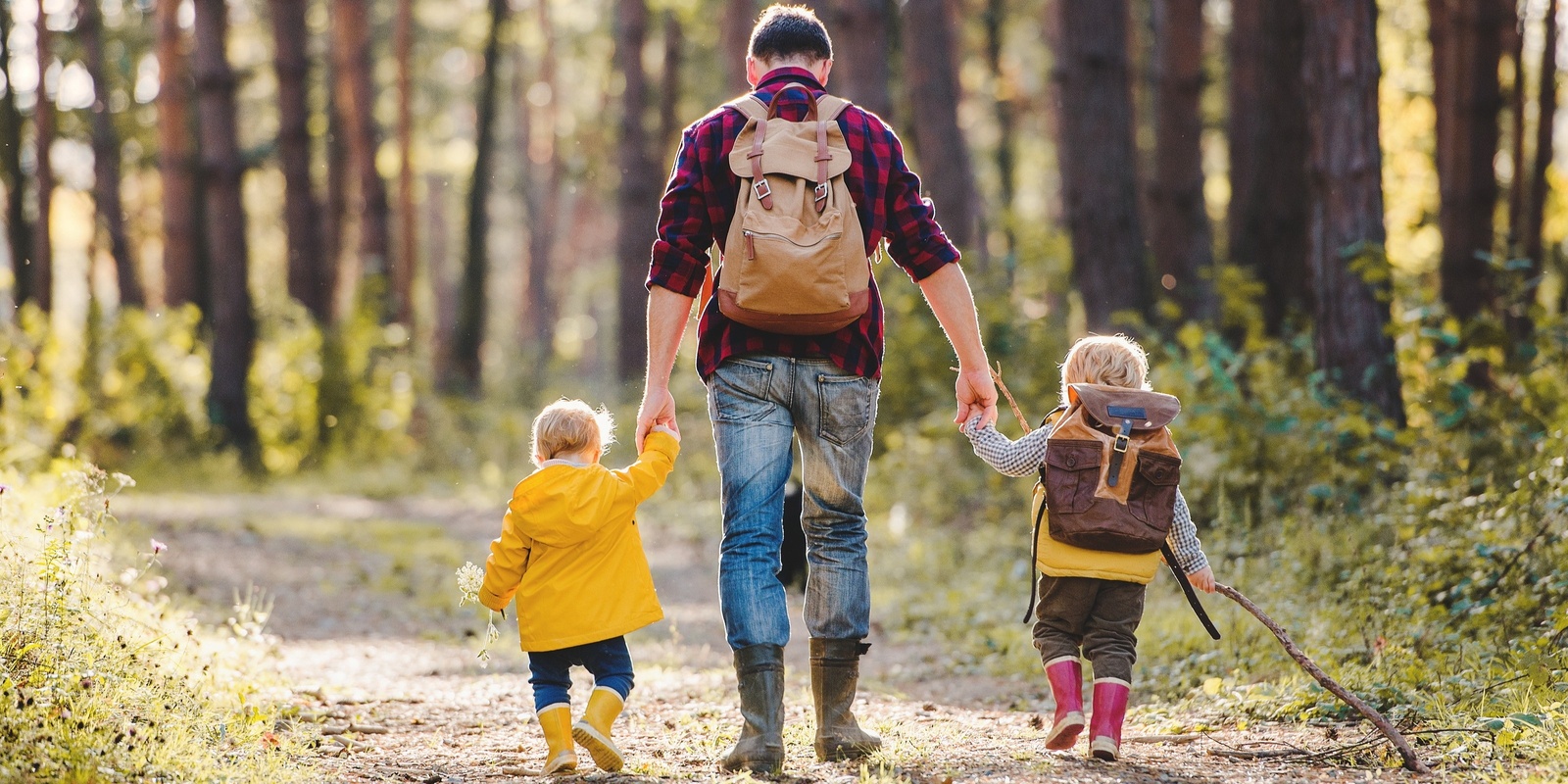 Banner image for Family wonder in the forest