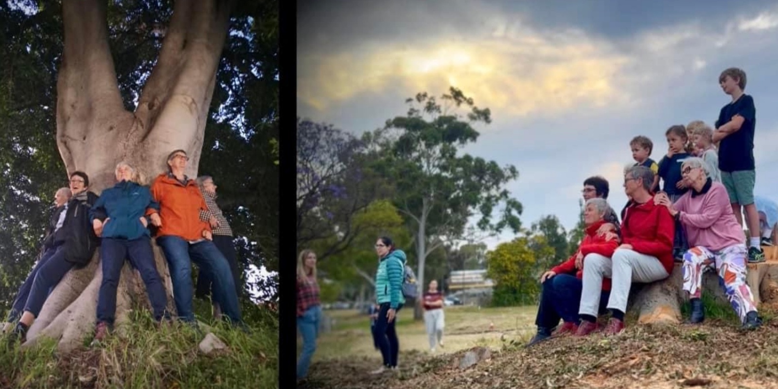 Banner image for Grief Gathering for the Trees, and Birds and Bees