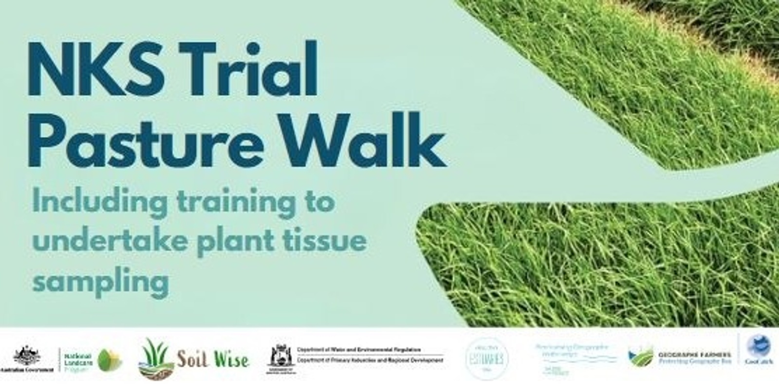 Banner image for NKS Trial Pasture Walk & DIY Plant Tissue Sampling Training