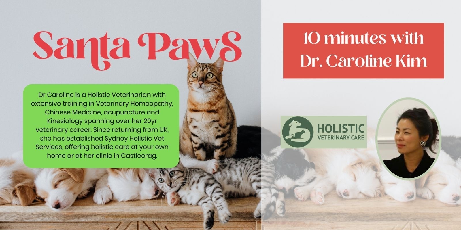 Banner image for Santa Paws Event 2024: 10 Minutes with Dr Caroline Kim (12:50pm)