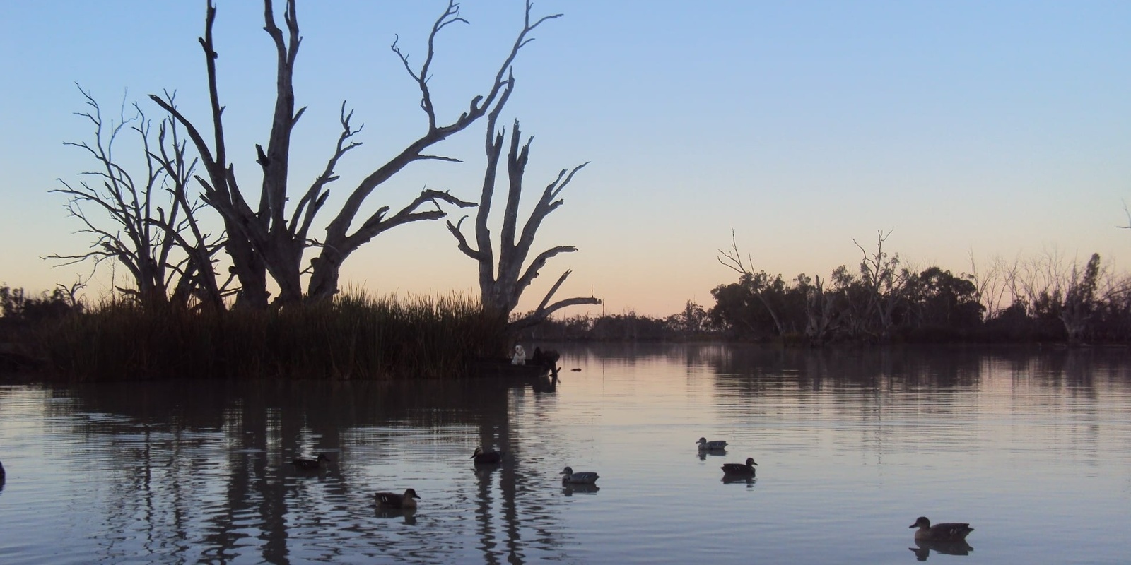 Conservation and Hunting Alliance of SA's banner