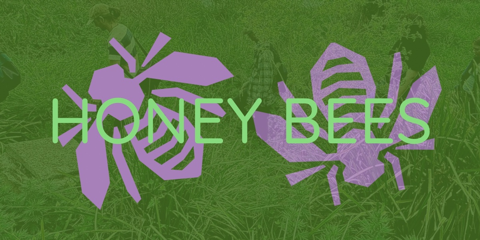 Banner image for HONEY BEES