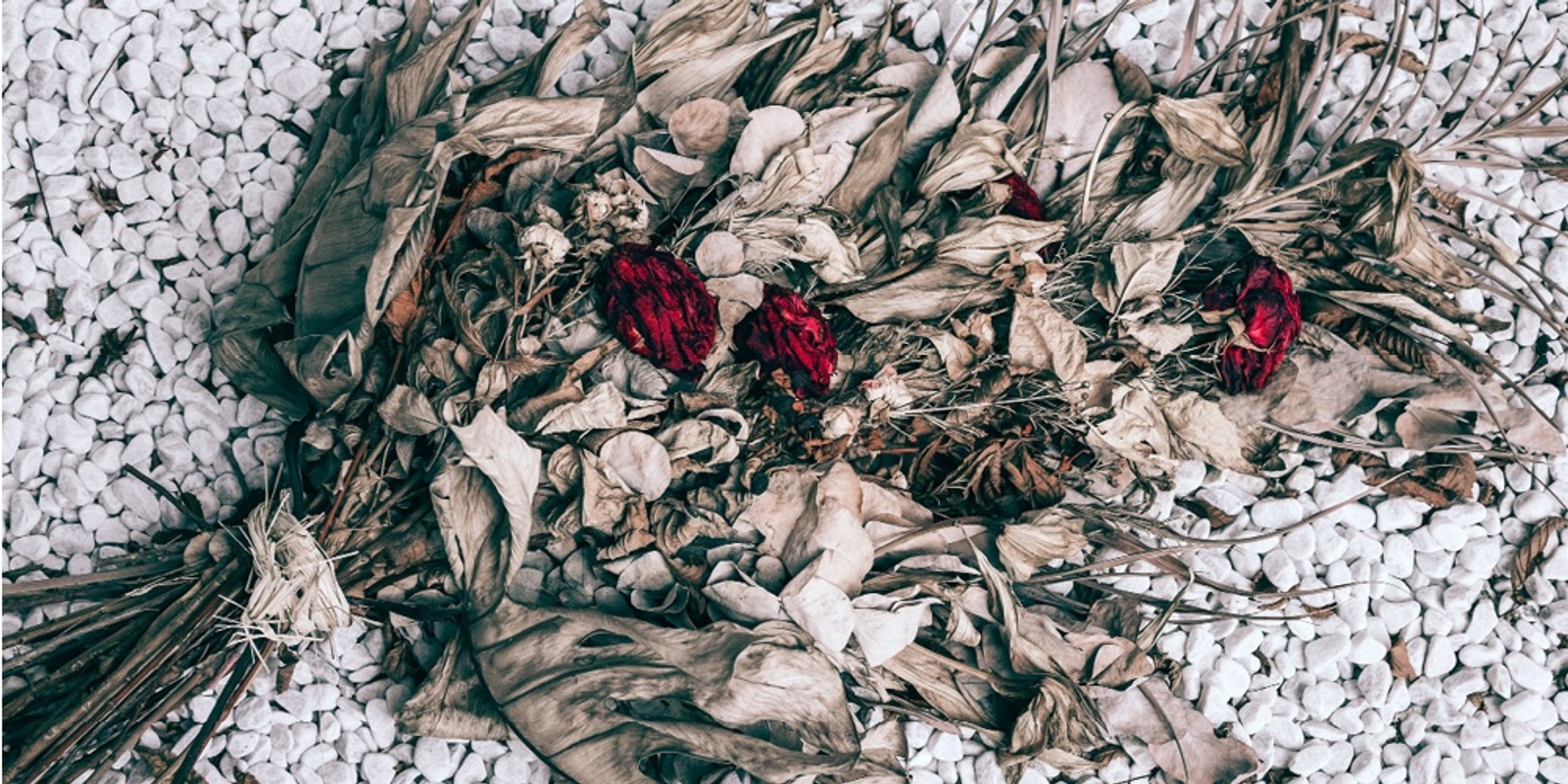 Banner image for Dried Floral Arrangement with Fay Marshall